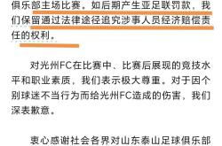 VAR判罚再引争议，泰山对阵C罗裁判判点引发巨大争议